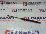 Амортизатор крышки (двери) багажника Peugeot 308 8731Q6