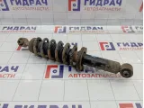 Амортизатор задний Peugeot 407 5206AY
