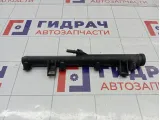 Топливная рампа (топливная рейка) Peugeot 407 157088