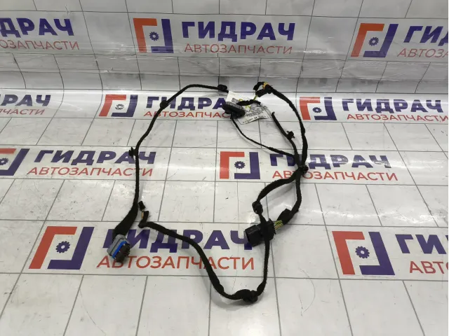 Проводка двери задней правой Peugeot Traveller  9816583880