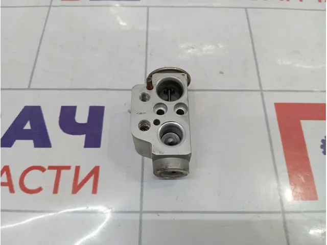 Клапан кондиционера Porsche Cayenne (9PA) 95557231902