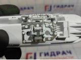 Плафон салонный Renault Logan 2 Stepway 8200074362.