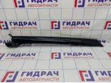 Молдинг лобового стекла левый Land Rover Range Rover Sport (L320) DCB000315