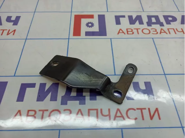 Петля стекла двери багажника левая Land Rover Range Rover Sport (L320) LR016244