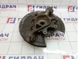 Кулак поворотный задний левый Land Rover Range Rover Sport (L320) RLH500130