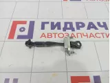 Ограничитель двери левый Renault Arkana 804301078R