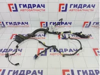 Проводка двери передней левой Renault Arkana 241241863R