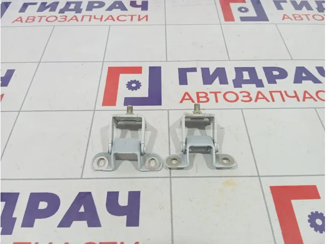 Петли двери багажника Renault Arkana 844002579R
