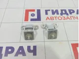 Петли двери багажника Renault Arkana 844002579R