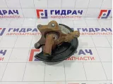 Кулак поворотный передний левый Renault Arkana 400150783R