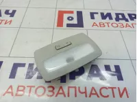 Плафон салонный Renault Arkana 264600276R