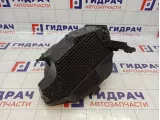 Корпус воздушного фильтра Renault Arkana 165001258R