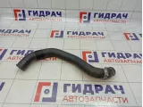 Патрубок радиатора верхний Renault Arkana 215018390R