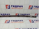 Молдинг крыши правый Renault Arkana 738525055R