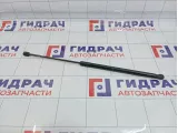 Амортизатор капота Renault Duster 654710944R