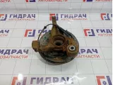 Кулак поворотный задний левый Renault Duster 430194182R