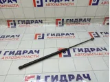 Амортизатор капота Renault Duster 654712943R