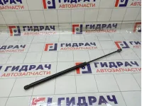 Амортизатор капота Renault Duster 654712943R