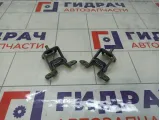 Петли двери багажника Renault Duster
