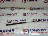 Амортизатор капота Renault Duster 654712943R