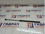 Амортизатор капота Renault Duster 654712943R