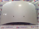 Капот Renault Duster 651000987R