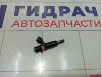 Форсунка инжекторная Renault Duster 166008992R