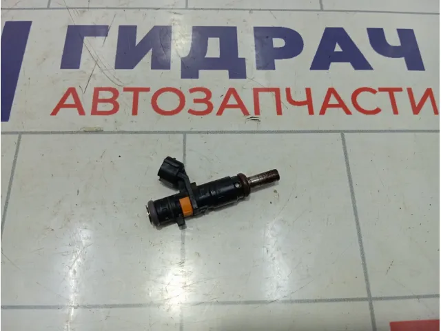 Форсунка инжекторная Renault Duster 166008992R