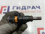 Форсунка инжекторная Renault Duster 166008992R