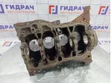 Блок двигателя Renault Duster (HS) 110104767R.