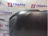 Капот Renault Duster