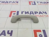 Ручка внутренняя потолочная Renault Fluence 739400011R