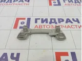 Ручка внутренняя потолочная Renault Fluence 739400011R