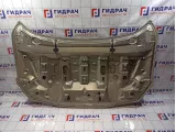 Капот Renault Fluence 651002244R