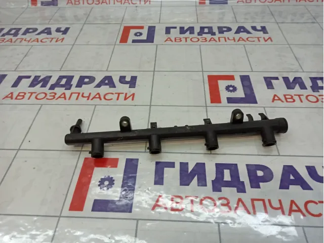Топливная рампа (топливная рейка) Renault Fluence 8200135504