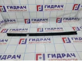 Уплотнитель стекла двери заднего левого Renault Fluence 823310029R