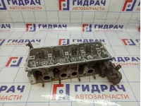 Головка блока Renault Kangoo (KC) 8201724840