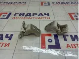 Петли двери передней правой Renault Kaptur