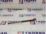Амортизатор крышки (двери) багажника Renault Kaptur 904514771R