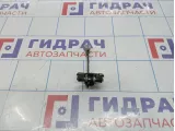 Ограничитель двери Renault Logan 2 804302559R