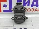 Катушка зажигания Renault Logan 224336134R