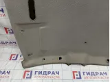 Обшивка потолка Renault Logan 2 8201554342