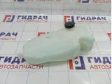 Бачок омывателя лобового стекла Renault Logan 2 289100401R