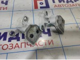 Петли двери задней правой Renault Logan 2 6001546883. Комплект.