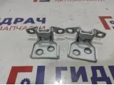 Петли двери задней правой Renault Logan 2 6001546883. Комплект.