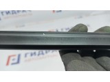 Уплотнитель стекла двери задней левой Renault Logan 2 823312887R. Внутренняя.