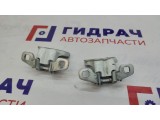 Петли двери задней левой Renault Logan 2 6001546883. Пара.