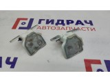 Петли двери задней левой Renault Logan 2 6001546883. Пара.