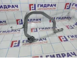 Петля крышки багажника левая Renault Logan 2 904019455R