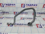 Петля крышки багажника правая Renault Logan 2 904002721R